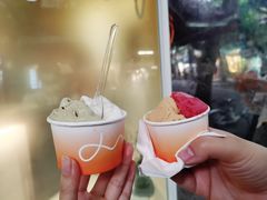 酸杏路易波士茶奶冻-DIP in GELATO(富民路店)