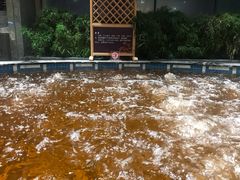 -弘安丽水温泉酒店