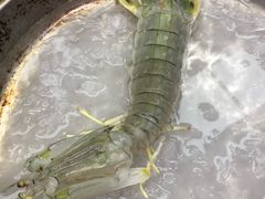 -盒马鲜生(悦峰店)