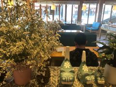 -猫的天空之城概念书店(丽江古城饮玉巷店)