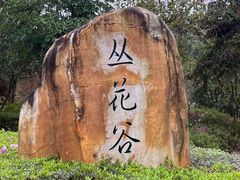 -广州白江湖森林公园