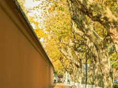 -苏州文庙(姑苏区)