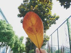 -河海大学(常州校区)