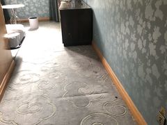 -深圳东部华侨城瀑布酒店