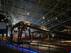 -世界恐龙谷景区