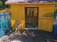 -苏木山森林公园