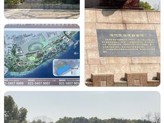 -上海吴淞炮台湾国家湿地公园