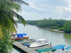 -东寨港红树林旅游区