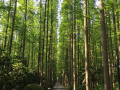 -上海怡沁园度假酒店