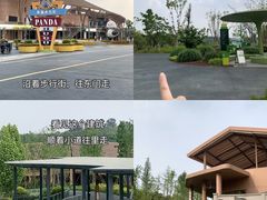-成都大熊猫繁育研究基地