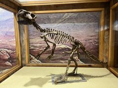 -国家自然博物馆