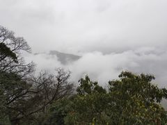-青城山