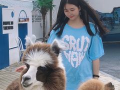 -Blue Concept Cafe&Farm·關於藍