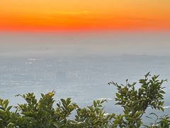 -紫金山山顶公园