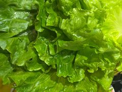 -采椰郎椰子鸡·脆皮鸡火锅(融创茂店)