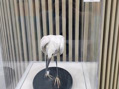 -陕西科学技术馆