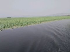 -微山湖红荷湿地景区