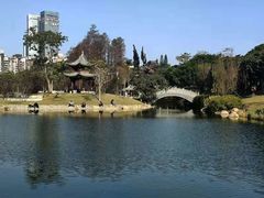 -四海公园(南山区)
