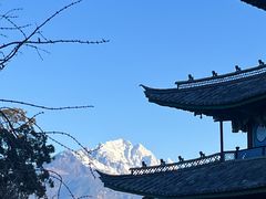 -黑龙潭公园