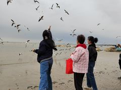 -老虎石海上公园