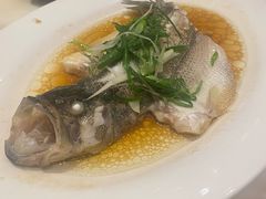 -稻香酒家·35年老字号(侨光店)
