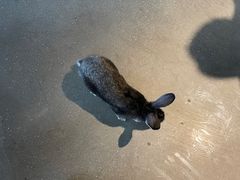 -昆明大悦城未来动物城(螺蛳湾中心店)