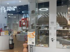 -COLOR PETS 撸猫馆·购猫·猫咖(长风大悦城店)