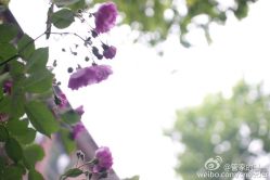 -孔雀手美甲美睫护理