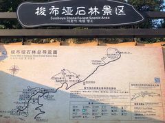 -梭布垭石林景区