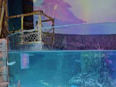 -沈阳海洋探索中心