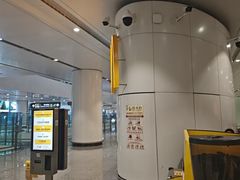 -麦当劳(北京大兴机场二层国内到达(安检外)店)