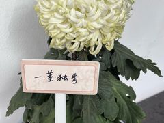 -杭州植物园