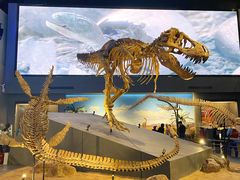 -贝林大翅鲸简餐厅(国家海洋博物馆店)