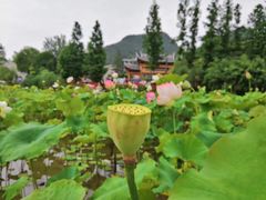 -贵阳市花溪国家城市湿地公园