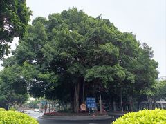 -福州开元寺