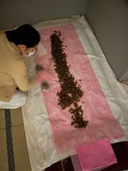-姜美堂·蒸姜除湿の纤体美颜馆