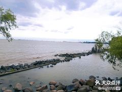 -上海吴淞炮台湾国家湿地公园