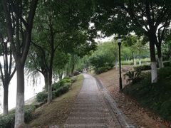 -羊山湖公园