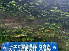 -日照海滨国家森林公园