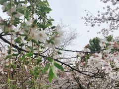 -范蠡湖公园