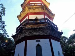 -分塔山省级森林公园