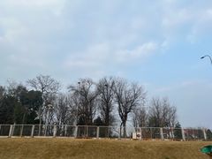 -国际非物质文化遗产博览园