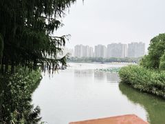 -南翔镇银翔湖公园