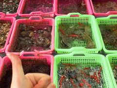 -众味海鲜大排档·活海鲜·潮汕味(南澳店)