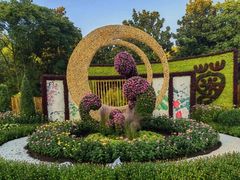 -上海共青森林公园