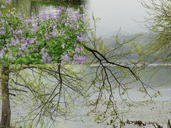 -茅家埠