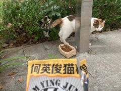 -新太二·鲜料川菜(晶耀前滩店)