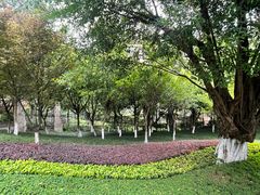 -龙头寺公园