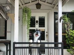 -TrueLove @ Neverland (Husky Cafe)