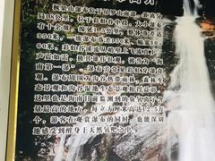 -海南热带雨林国家公园吊罗山景区